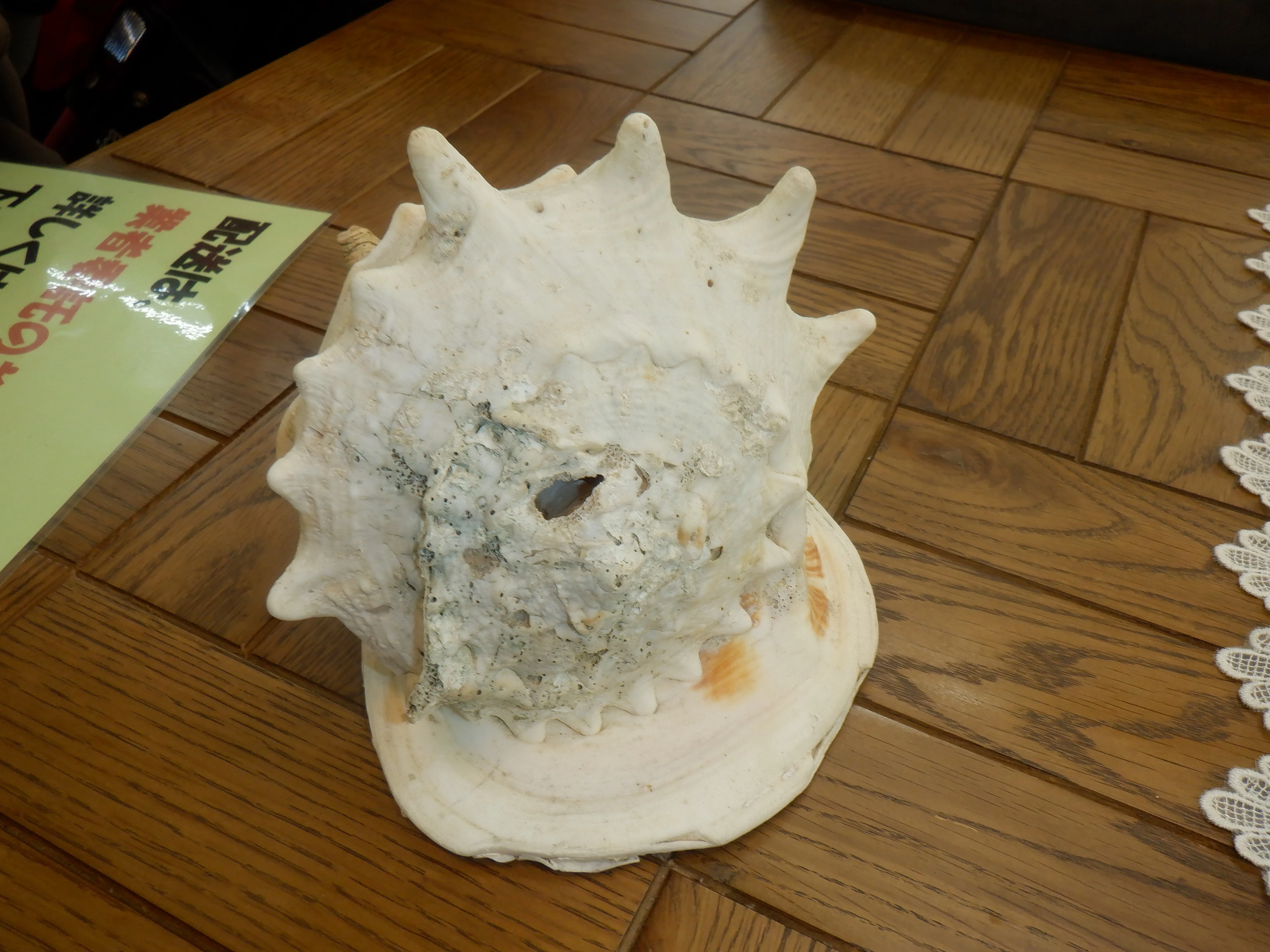Slider画像